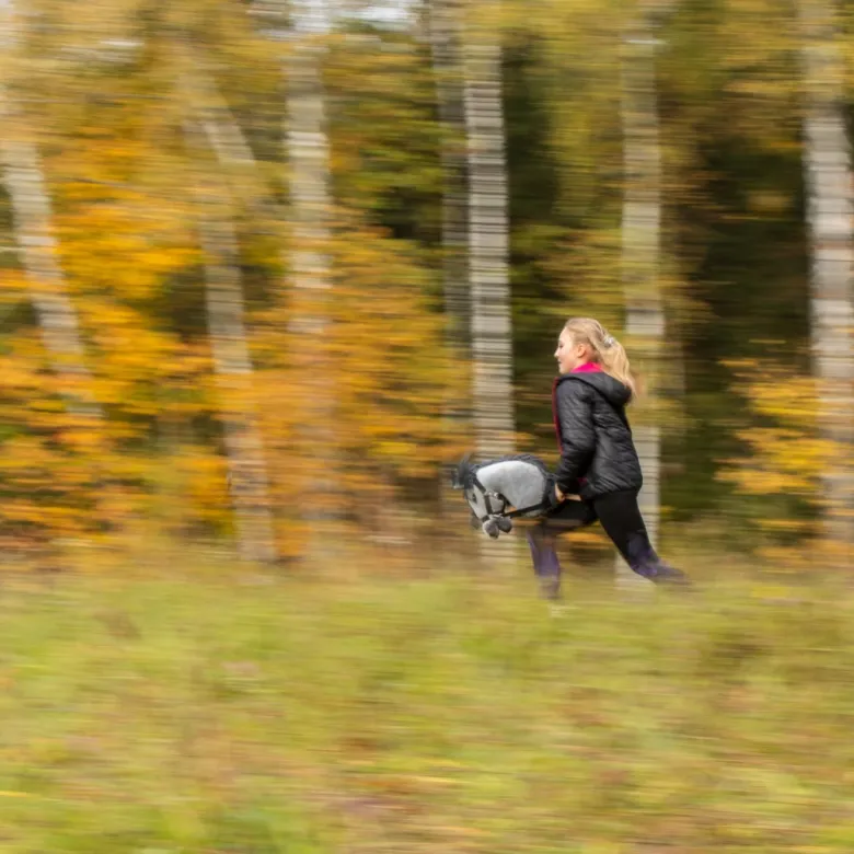 Hobby Horse Skippi - koń na kiju - Kasztanowaty