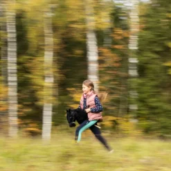Hobby Horse Skippi - koń na kiju - Kasztanowaty