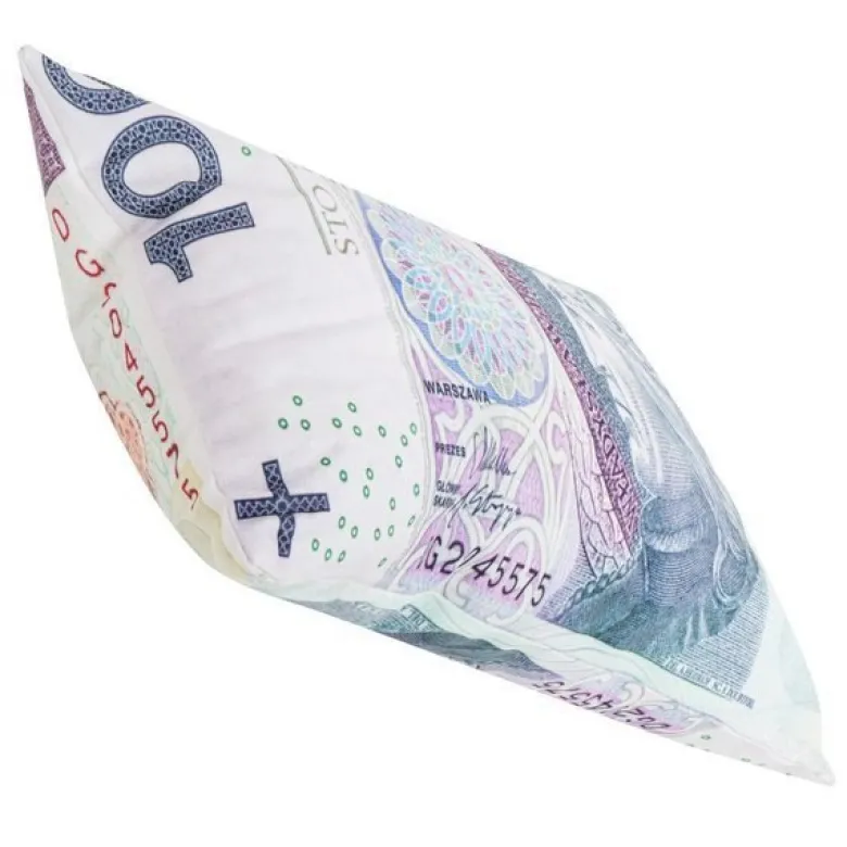 Poduszka STÓWKA 100 PLN
